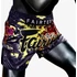 Picture 5/5 -Fairtex Muay Thai Shorts - Rotting Fist