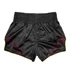 Picture 2/3 -Fairtex Muay Thai Shorts - BS1925 - MR.X