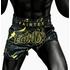 Picture 3/4 -Fairtex Muay Thai Shorts - BS1947 Marble