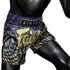 Picture 4/5 -Fairtex Muay Thai Shorts - BS1941 - Dawn