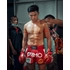 Picture 2/4 -Primo Muay Thai Short - Classic Red