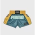 Picture 1/4 -Primo Fightwear Trinity Series Muay Thai Shorts - Teal